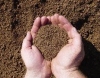 Screened Topsoil