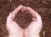 Brown Dyed Mulch