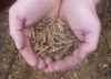 Root Mulch