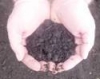 Garden Soil